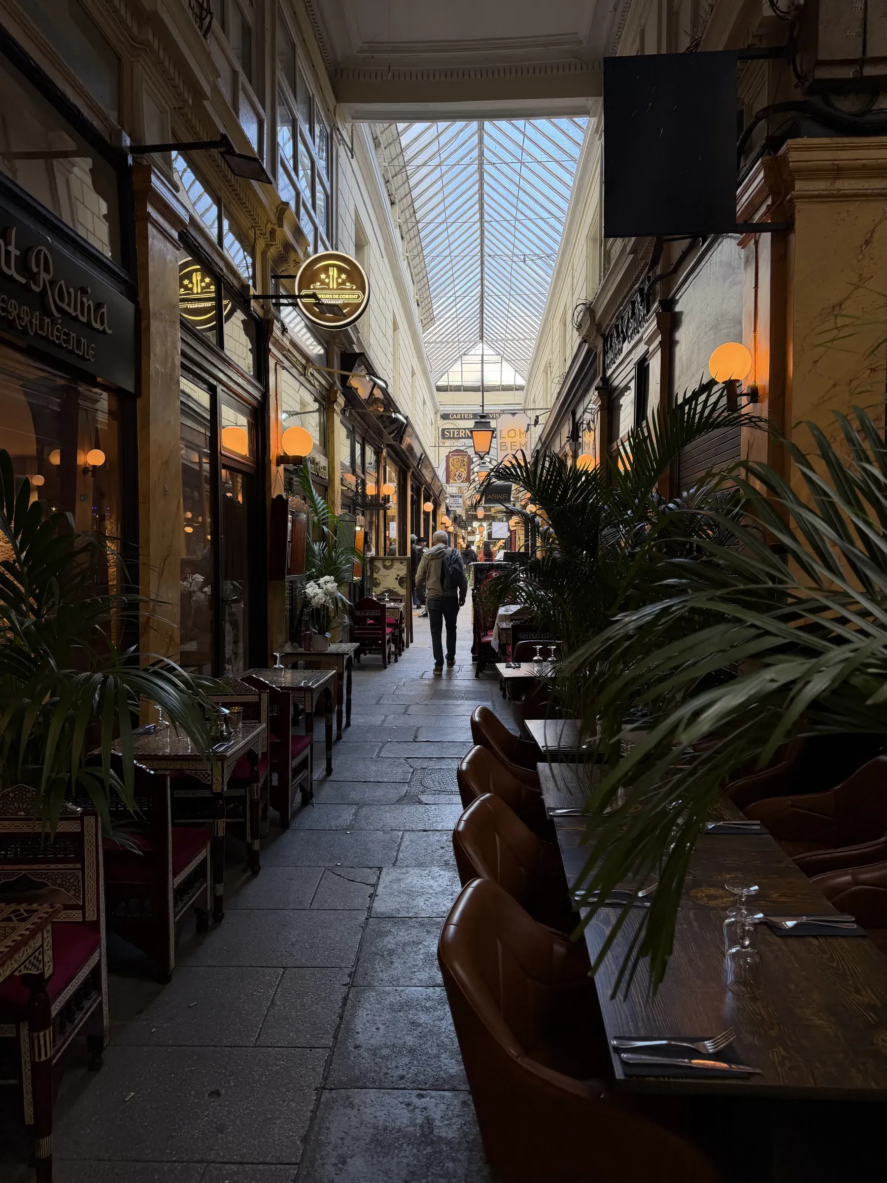 The glass roof and shopfronts of Passage des Panoramas, Paris